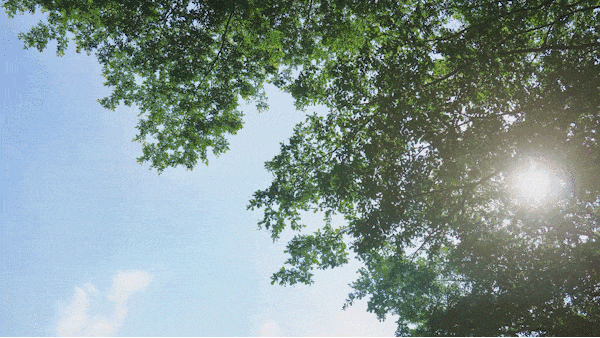 绿城逸庐地址价格户型_容积率_售楼处_营销中心爱游戏app网站手机版绿城逸庐售楼处电线上海(图4)